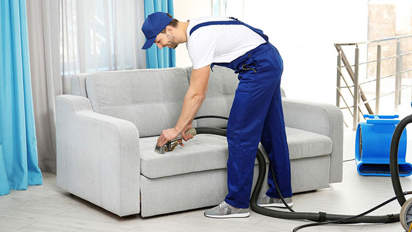 Carpet Sofa Chair Cleaning